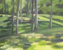 Plum creek Park Study